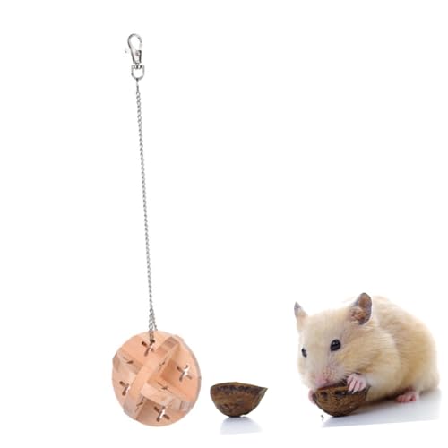 DRESSOOS Hamster Holz Kauen Bälle Für Training Rolle Spielzeit Katze Kätzchen Spaß von DRESSOOS