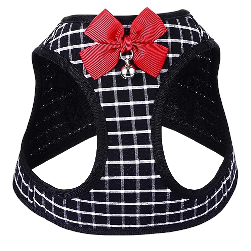 DRESSOOS Hundegeschirr Satz für Kleine Hunde Brustgurt mit Leine Bequemes Haustiergeschirr für Sicheres Gassigehen Atmungsaktive Weste und Langlebig DRESSOOS Hundegeschirr Satz für Kleine Hunde Brustgurt mit Leine Bequemes Haustiergeschirr für Sicheres Gassigehen Atmungsaktive Weste und Langlebig von DRESSOOS