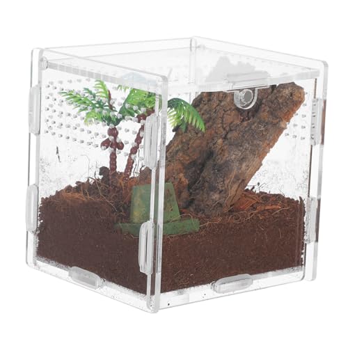 DRESSOOS Haustier Spinnenbox Frosch Plüschtiere Terrarium Chamäleon Zubehör Tier Laufstall Miniatur Koffer Frösche Vogelspinne Zubehör Schildkrötengehege Spinnentank DRESSOOS Haustier Spinnenbox Frosch Plüschtiere Terrarium Chamäleon Zubehör Tier Laufstall Miniatur Koffer Frösche Vogelspinne Zubehör Schildkrötengehege Spinnentank von DRESSOOS
