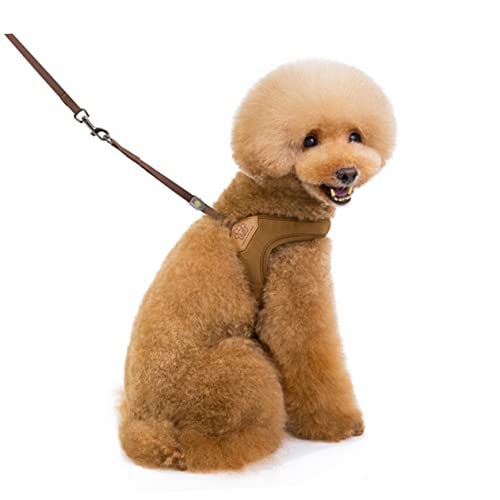 DRESSOOS Frosted Pet Dog Pulling Strap Bequemer Brustgurt Für Haustiere Zum Gassigehen von DRESSOOS