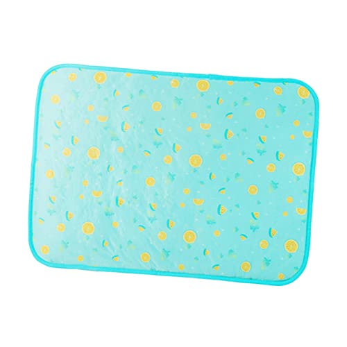 DRESSOOS Kühlmatte Für Haustiere Haustier-eiskissen Hundebett Kühlkissen Waschbar Leicht Zu Reinigen Seide 50 X 70 Tragbar DRESSOOS Kühlmatte Für Haustiere Haustier-eiskissen Hundebett Kühlkissen Waschbar Leicht Zu Reinigen Seide 50 X 70 Tragbar von DRESSOOS