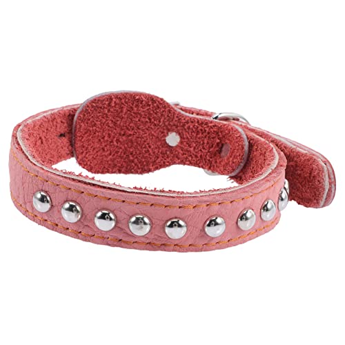 DRESSOOS Pet Collar Für Hunde Und Dekoratives Verstellbares Und Komfortables Und Langlebig Geeignet Für Große Hunde Und Stylisches Design Für Besondere Anlässe Und Alltag DRESSOOS Pet Collar Für Hunde Und Dekoratives Verstellbares Und Komfortables Und Langlebig Geeignet Für Große Hunde Und Stylisches Design Für Besondere Anlässe Und Alltag von DRESSOOS