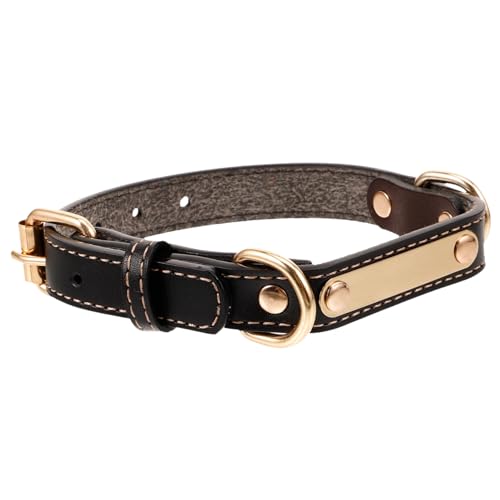 DRESSOOS Verstellbares Weich Gepolstertes Hundehalsband – Beruhigendes Halsband Mit Graviertem von DRESSOOS