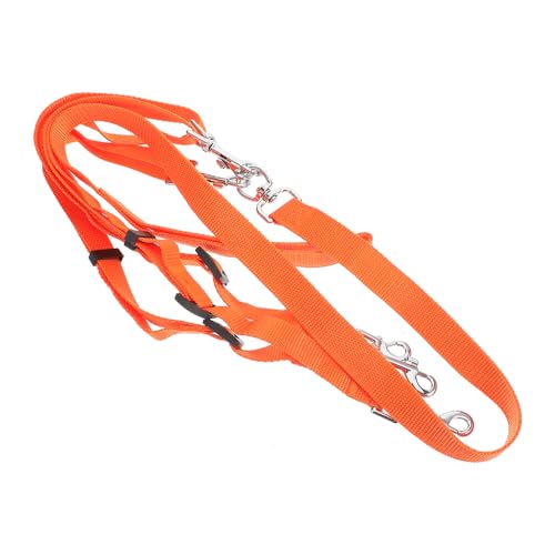 DRESSOOS Hunde-Laufleine leicht und einfach zu verstauen 3-in-1-Hundeleine zum Spazierengehen und Trainieren DRESSOOS Hunde-Laufleine leicht und einfach zu verstauen 3-in-1-Hundeleine zum Spazierengehen und Trainieren von DRESSOOS