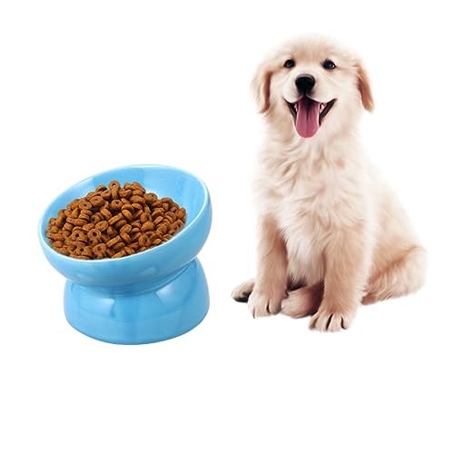 DRESSOOS Haustier Keramik Schüssel Erhöhte Hund Feeder Langsam Feeder Für Hunde Licht Große Gesunde Pet Dish von DRESSOOS
