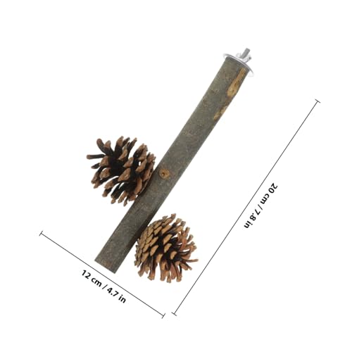 DRESSOOS Holz papageiensitz mit Kiefernzapfen Vogelsitz Kauspielzeug für Wellensittiche Cockatiels Parrot Perch Vogelkäfig Zubehör zur Beschäftigung und Balanceübung Kleiner Vögel DRESSOOS Holz papageiensitz mit Kiefernzapfen Vogelsitz Kauspielzeug für Wellensittiche Cockatiels Parrot Perch Vogelkäfig Zubehör zur Beschäftigung und Balanceübung Kleiner Vögel von DRESSOOS