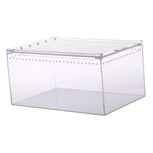 DRESSOOS Fütterungsbox für Eidechsen Terrarium aus Acryl großer Platz zum Spielen und Ausruhen der Reptilien von DRESSOOS