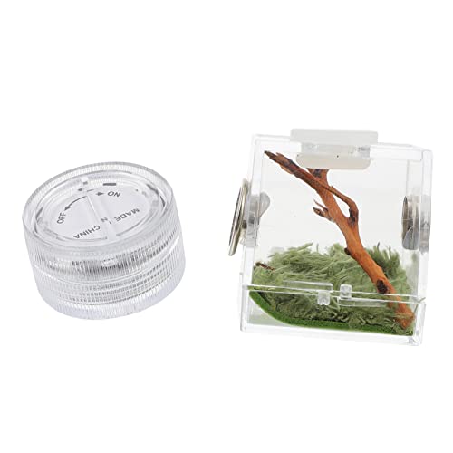 DRESSOOS Spinnenhabitat Kasten für Kleine Haustiere Hochtransparentes Spinnenhaus mit Lampe für Spinnenzucht Leicht und Transportabel Fütterungsöffnung DRESSOOS Spinnenhabitat Kasten für Kleine Haustiere Hochtransparentes Spinnenhaus mit Lampe für Spinnenzucht Leicht und Transportabel Fütterungsöffnung von DRESSOOS