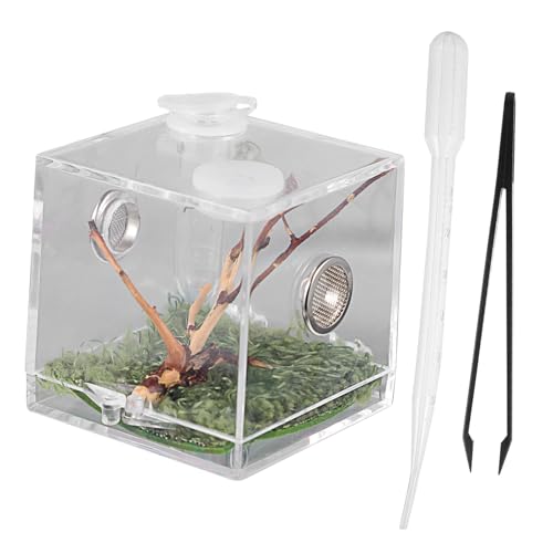 DRESSOOS Springspinnen-insektenzuchtkasten-Set Spinnentank-gehäuse Einfache Verwendung von DRESSOOS