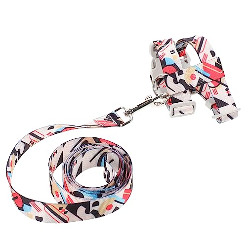 DRESSOOS Katzen Und Hundeleine, Kaninchengeschirr Set, Katzengeschirr, Verschleißfeste Katzenleine, Kätzchengeschirr Und Leine, Katzenzuggurt, Kätzchen Laufseil, Nylon Hundeleine, DRESSOOS Katzen Und Hundeleine, Kaninchengeschirr Set, Katzengeschirr, Verschleißfeste Katzenleine, Kätzchengeschirr Und Leine, Katzenzuggurt, Kätzchen Laufseil, Nylon Hundeleine, von DRESSOOS