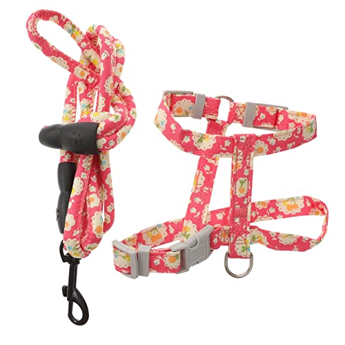 DRESSOOS Katzenleine Und Geschirr-Set Verstellbares Katzengeschirr Mit Katzenleine Zum Spazierengehen Leicht Und Kompakt Für Kleine Katzen Und Outdoor-aktivitäten von DRESSOOS