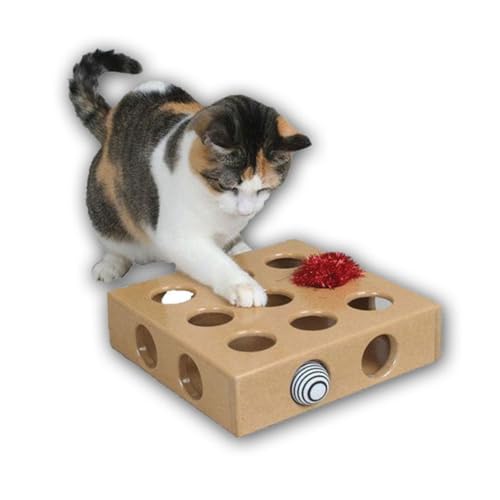 DRESSOOS Katzenspielzeug Spielzeug Haustier Schatzkiste Aus Holz von DRESSOOS