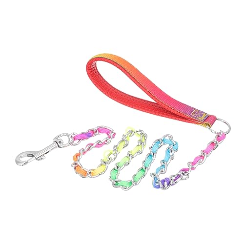 DRESSOOS Flexible Hundeleine Zum Spazierengehen Tragbare Kette Welpenversorgung Für Den Außenbereich von DRESSOOS