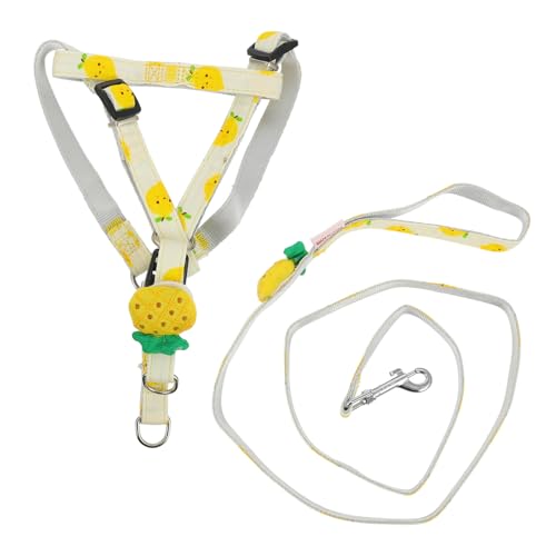 DRESSOOS Hundeleine mit Fruchtmuster verstellbar robust für Haustiere Zugseil bequem zum Ziehen des Hundes DRESSOOS Hundeleine mit Fruchtmuster verstellbar robust für Haustiere Zugseil bequem zum Ziehen des Hundes von DRESSOOS