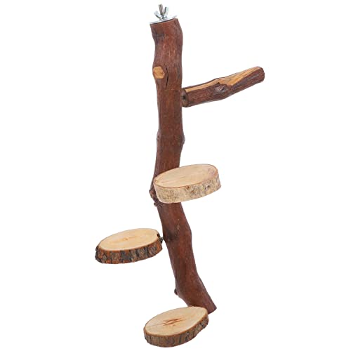 DRESSOOS Praktischer Springständer für Papageien Home Sprungbrett Holzmaterial Papageientraining Spielzeug Vögel Springbrett DRESSOOS Praktischer Springständer für Papageien Home Sprungbrett Holzmaterial Papageientraining Spielzeug Vögel Springbrett von DRESSOOS