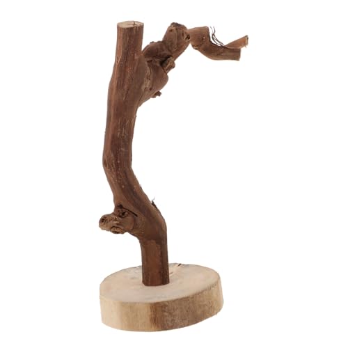 DRESSOOS Papagei-trainingsständer Vogelspielzeug Aus Holz Für Nymphensittiche Spielzeug Für Vögel Multifunktionale Papageien-sitzstange Stabile Basis von DRESSOOS