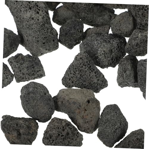 DRESSOOS Blumentopf Stein Schwarz 500g Steine für Aquarium Und Pflanzer 2-3cm Größe DRESSOOS Blumentopf Stein Schwarz 500g Steine für Aquarium Und Pflanzer 2-3cm Größe von DRESSOOS