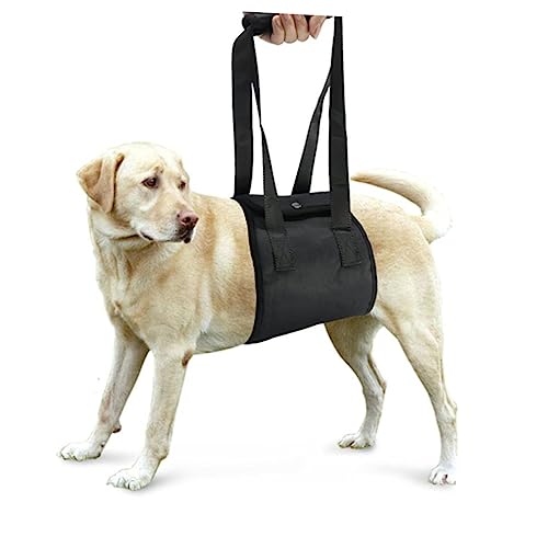 DRESSOOS Hunde-Hebegeschirr Stützgeschirr für Größe M schwarz Gehhilfe für Hunde zur Erholung schwacher Beine DRESSOOS Hunde-Hebegeschirr Stützgeschirr für Größe M schwarz Gehhilfe für Hunde zur Erholung schwacher Beine von DRESSOOS