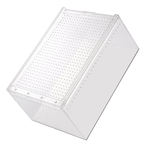 DRESSOOS Reptilien Futterbox Praktischer Futterbehälter Schneckenfutterbehälter Inkubator Für Spinnengehege Habitat Futterbehälter Kleiner Inkubator Kreativer Futterbehälter von DRESSOOS