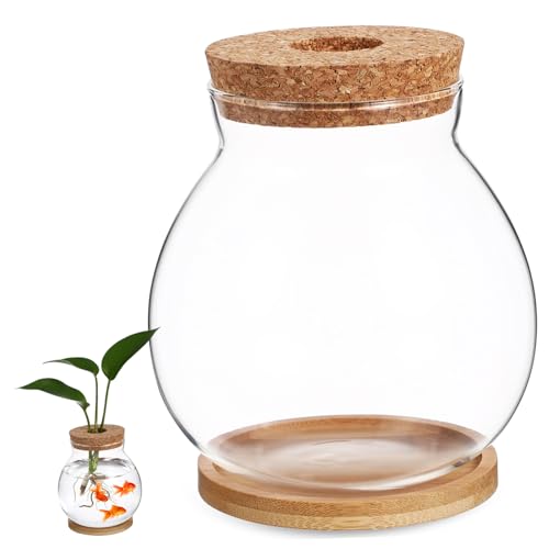 DRESSOOS Terrarienbehälter, Goldfischschale, Betta-Fischschale, Hydrokultur-Terrariumvase, Hydrokultur-Pflanzen-Terrarium, Pflanzenständer, Aquarium, Glas, Fischschale mit Deckel, Büro, Dill, Bambus von DRESSOOS