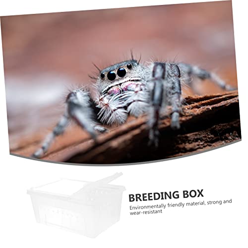 DRESSOOS Transparente Reptilienbox aus Kunststoff Hochtransparentes Terrarium für Spinnen Skorpione Schlangen Schildkröten Geckos Praktische Aufzucht und Transportbox für Reptilien und von DRESSOOS