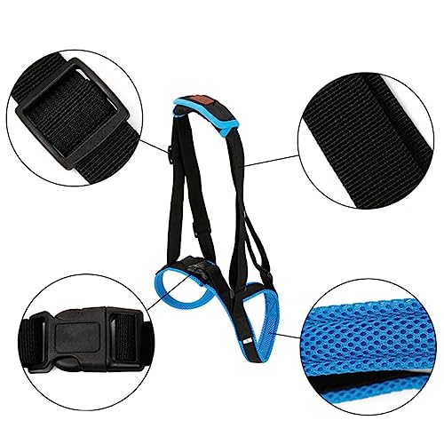 DRESSOOS Haustier-hinterbeinorthese Hunde-gehhilfe Air Mesh Baumwolle Pu für Ältere Verletzte Hunde Größe XL DRESSOOS Haustier-hinterbeinorthese Hunde-gehhilfe Air Mesh Baumwolle Pu für Ältere Verletzte Hunde Größe XL von DRESSOOS
