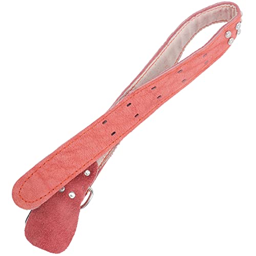 DRESSOOS Dekoratives Haustierhalsband Verstellbares Hundehalsband Bequem Für Welpen Und Stilvolles Weiches Leder Haustier-halsornament von DRESSOOS