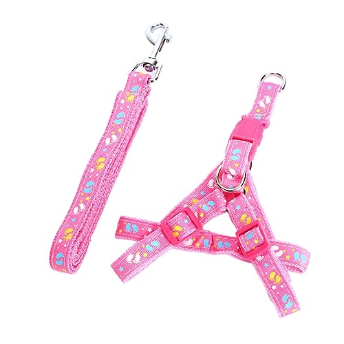 DRESSOOS Einstellbare Hund Ausbildung Kragen Schnalle Ausbildung Seil Hund Haustier Fuß Leine Haustiere Leine DRESSOOS Einstellbare Hund Ausbildung Kragen Schnalle Ausbildung Seil Hund Haustier Fuß Leine Haustiere Leine von DRESSOOS