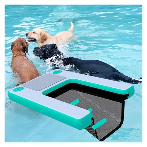 Pool Ramp for Dogs Above Ground Pool, Folding Dog Ladder Boat, with Eva Non-Slip Pad & 3 Nylon Handles Weighted Mesh Underwater, 1.5 m Raft Easy to Carry Store (Green) von DRFGHK