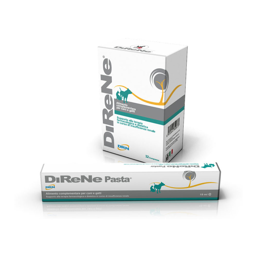 DiReNe - Paste - 15 ml von DRN