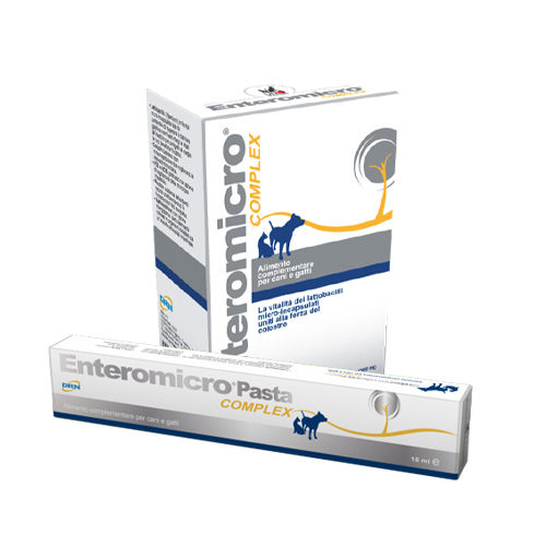 Enteromicro Complex - Paste - 15 ml von DRN