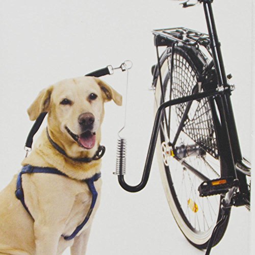 DRULINE Fahrrad Hundeleine - Fahrrad Abstandhalter - Fahrradhalter - Stahl Silber/schwarz/Nylon - ca. 125 cm - Schnellbefestigungsmechanismus - inkl. Befestigungsmaterial von DRULINE