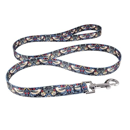 DRW Leine für Hund oder Katze, Erdbeerdieb, mit Karabiner, 1,5 x 120 cm von DRW