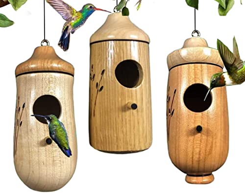 DRYEN Kolibrihaus, Kolibrihaus, Holz, zum Aufhängen im Freien, Kolibri-Schaukel, Kolibri-Nest, Fenster-Vogelnest und Sitzstangen von DRYEN