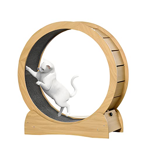Cat Track Laufband mit Teppichlaufbahn, Laufband mit starker Stabiler Holzkonstruktion für alle Katzen Cat Track Laufband mit Teppichlaufbahn, Laufband mit starker Stabiler Holzkonstruktion für alle Katzen von DRYIC