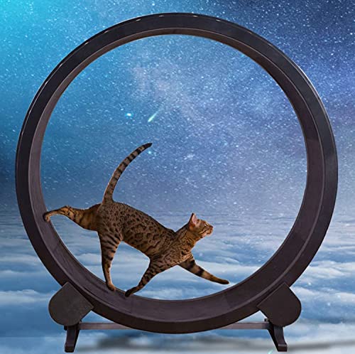 Haustier-Katzen-Klettergerüst, Haustier-Laufmaschine, leises Katzenlaufband, Haustier-Möbel, Raddrehung, Fitness Haustier-Katzen-Klettergerüst, Haustier-Laufmaschine, leises Katzenlaufband, Haustier-Möbel, Raddrehung, Fitness von DRYIC