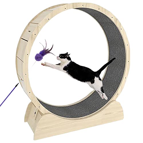 Haustierfreundliches interaktives Katzenlaufband, Katzenlaufrad mit Katzenspielzeugstab, Katzensportspielzeug aus Holz Haustierfreundliches interaktives Katzenlaufband, Katzenlaufrad mit Katzenspielzeugstab, Katzensportspielzeug aus Holz von DRYIC