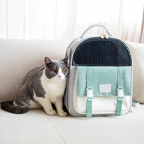 Hunderucksack für kleine große Katzen Haustiere kleine Hunde belüftet Haustier Wanderrucksack Reisetasche Rückenstütze Camping Reiten Hundetasche (grün) von DRYIC