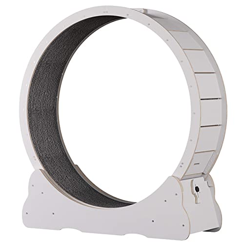Indoor-Laufband aus Massivholz, Durchmesser des Innenrings 31,4/35,4 Zoll, Katzenlaufband mit austauschbaren Griffpolstern, Indoor-Laufband aus Massivholz, Durchmesser des Innenrings 31,4/35,4 Zoll, Katzenlaufband mit austauschbaren Griffpolstern, von DRYIC