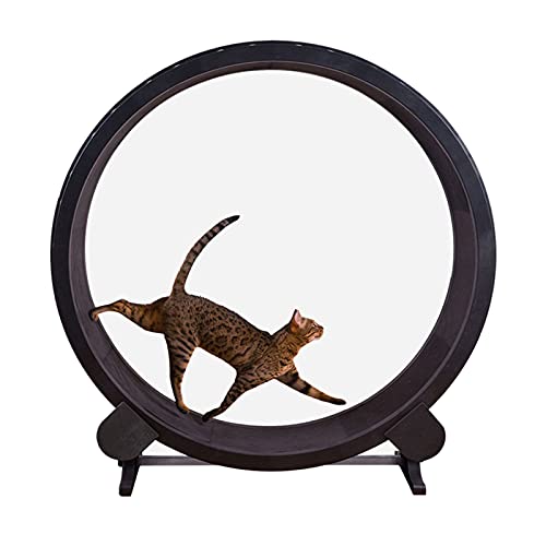 Katzenlaufband, Laufband für Haustiere, leises Katzenlaufband, sanfter Lauf für kleine/mittelgroße Hunde, Indoor-Übungen Katzenlaufband, Laufband für Haustiere, leises Katzenlaufband, sanfter Lauf für kleine/mittelgroße Hunde, Indoor-Übungen von DRYIC