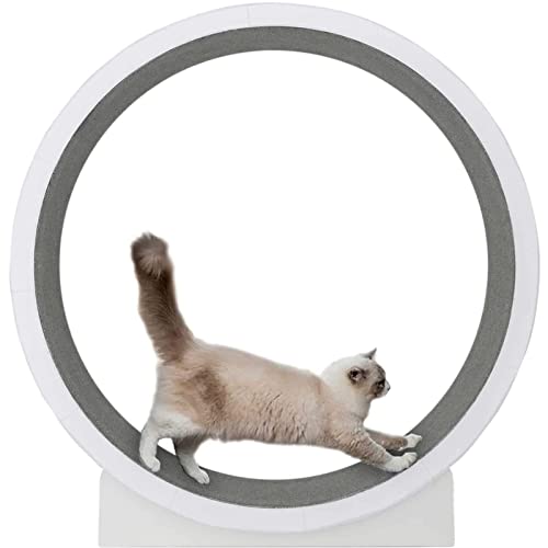 Katzenlaufband, leises und geräuschloses Katzenspielzeug, einfaches und Katzenmöbel, Fitness und Unterhaltung, integriertes Laufband Katzenlaufband, leises und geräuschloses Katzenspielzeug, einfaches und Katzenmöbel, Fitness und Unterhaltung, integriertes Laufband von DRYIC