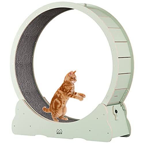 Katzenrad, Katzenlaufband, Laufrad, süße Katzenmöbel, Haustierspielzeug, Katzenspielzeug Katzenrad, Katzenlaufband, Laufrad, süße Katzenmöbel, Haustierspielzeug, Katzenspielzeug von DRYIC