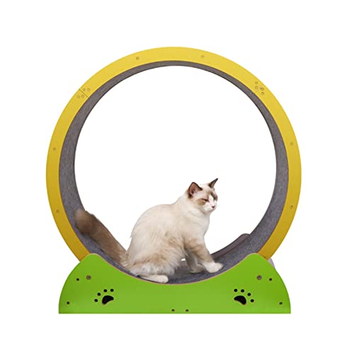 Katzenspielzeug für den Innenbereich, geräuschloses Laufband aus Massivholz für Katzen, Trainingsspiel-Trainer Katzenspielzeug für den Innenbereich, geräuschloses Laufband aus Massivholz für Katzen, Trainingsspiel-Trainer von DRYIC
