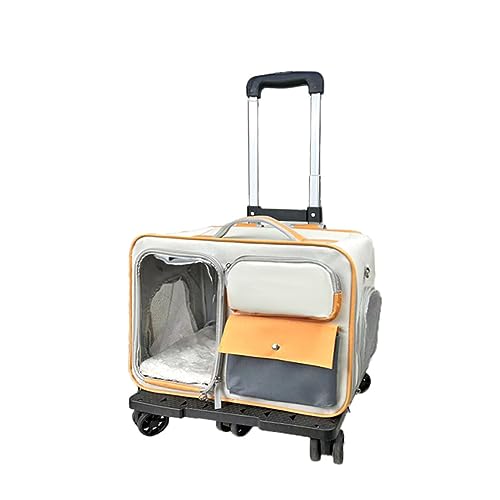 Katzentasche, Koffer mit Kinderwagen für Haustiere, Tasche für kleine Hunde, Anti-Stress-Rucksack für Katzen Katzentasche, Koffer mit Kinderwagen für Haustiere, Tasche für kleine Hunde, Anti-Stress-Rucksack für Katzen von DRYIC