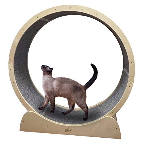 Laufband aus Holz, Indoor-Katzen-Riesenrad-Trainingsgerät, kleines, mittelgroßes und großes Haustier-Katzenspielzeug/Katzenkratzer von DRYIC