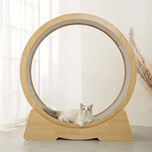 Laufband aus Naturholz, geräuscharmes Katzenlaufband Ferris, Katzenmöbel, mit Laufbahn aus Teppich von DRYIC