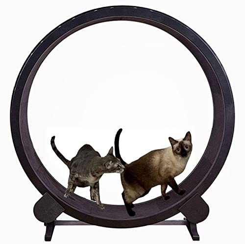 Laufband für Katzen, Klettergerüst für Haustiere, Laufmaschine für Haustiere, leises Laufband für Katzen, Fitnessgewicht für Katzen Laufband für Katzen, Klettergerüst für Haustiere, Laufmaschine für Haustiere, leises Laufband für Katzen, Fitnessgewicht für Katzen von DRYIC