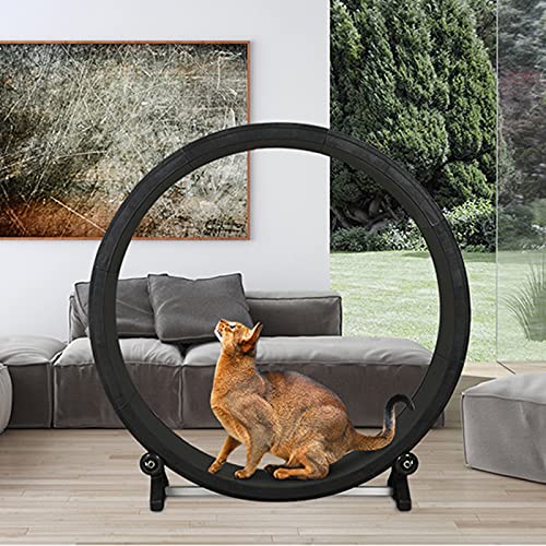 Laufband für Katzen, Klettergerüst für Katzen, Laufmaschine für Haustiere, geräuscharmes Laufband für Katzen Laufband für Katzen, Klettergerüst für Katzen, Laufmaschine für Haustiere, geräuscharmes Laufband für Katzen von DRYIC
