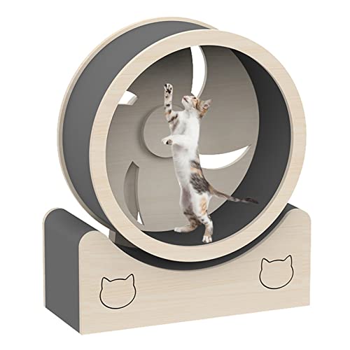 Laufband für Katzen, Laufrad für große Hauskatzen/Kletterspielzeug für Haustiere, Laufband, Riesenrad, Haustiermöbel, Katzenkratzbrett Laufband für Katzen, Laufrad für große Hauskatzen/Kletterspielzeug für Haustiere, Laufband, Riesenrad, Haustiermöbel, Katzenkratzbrett von DRYIC