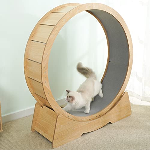 Laufband für Katzen, Laufspielzeug für Haustiere, geräuschloses Laufband für Katzen mit sanftem Lauf Laufband für Katzen, Laufspielzeug für Haustiere, geräuschloses Laufband für Katzen mit sanftem Lauf von DRYIC